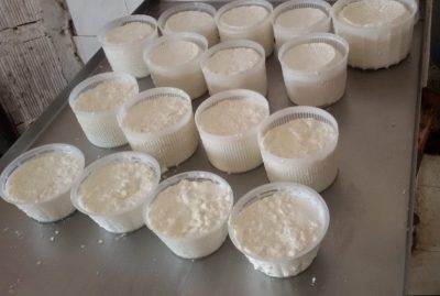 cacioricotta di masseria dal Gargano in Puglia