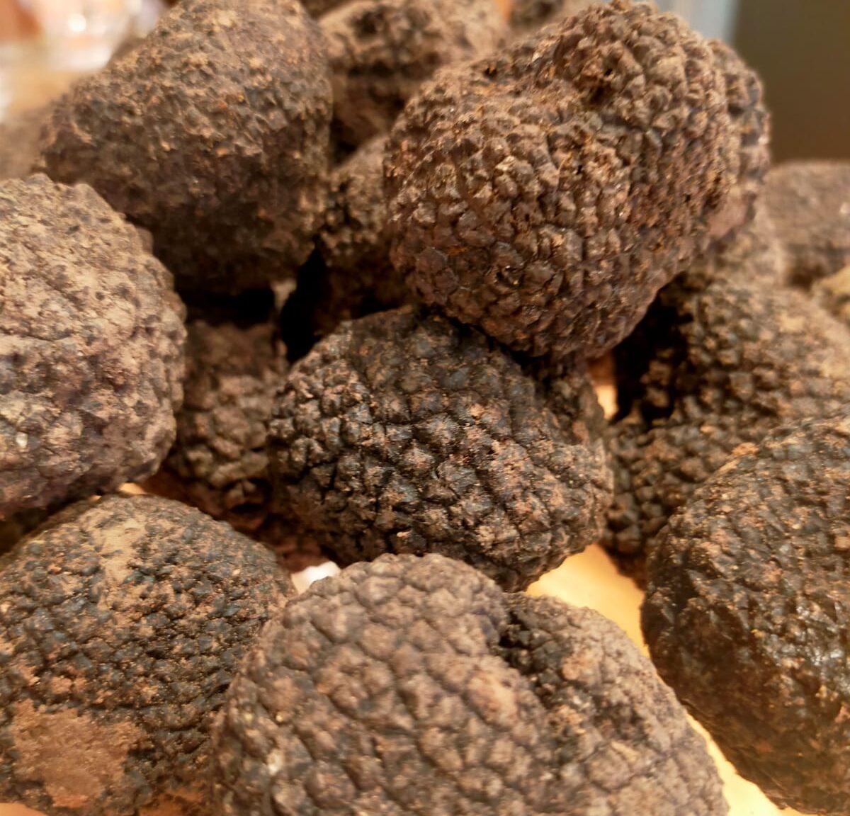 tartufo estivo ElCasolin